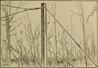 An illustration from High frequency apparatus, design, construction and practical application; a practical treatise for electrical engineers, electricans, physicians, students and experimenters (1920)