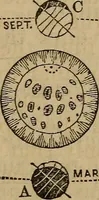 An illustration from A high-school astronomy: in which the descriptive, physical, and practical are combined .. (1859)