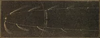 An illustration from A high-school astronomy: in which the descriptive, physical, and practical are combined .. (1853)