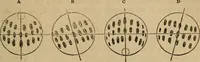 An illustration from A high-school astronomy: in which the descriptive, physical, and practical are combined .. (1853)