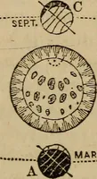 Picture 99 of 137 from A high-school astronomy: in which the descriptive, physical, and practical are combined .. (1853), leaf 155