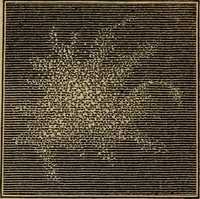Picture 106 of 137 from A high-school astronomy: in which the descriptive, physical, and practical are combined .. (1853), leaf 205