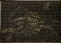Picture 110 of 137 from A high-school astronomy: in which the descriptive, physical, and practical are combined .. (1853), leaf 208