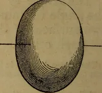 Picture 7 of 137 from A high-school astronomy: in which the descriptive, physical, and practical are combined .. (1853), leaf 22