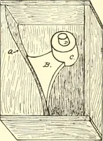 Picture 105 of 138 from High school manual training course in woodwork, including cost of equipment and supplies and studies on trees and wood (1905), leaf 168