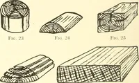 Picture 14 of 138 from High school manual training course in woodwork, including cost of equipment and supplies and studies on trees and wood (1905), leaf 34
