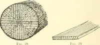 Picture 15 of 138 from High school manual training course in woodwork, including cost of equipment and supplies and studies on trees and wood (1905), leaf 36