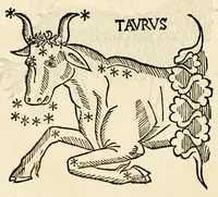 Picture 9 of 24 from Higinius de stellis (1513), leaf 64