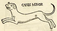 Picture 18 of 24 from Higinius de stellis (1513), leaf 79