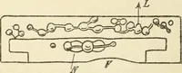 An illustration from Hilprecht anniversary volume. Studies in Assyriology and archaeology dedicated to Hermann V. Hilprecht upon the twenty-fifth anniversary of his doctorate and his fiftieth birthday (July 28) (1909)