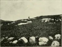 An illustration from Hilprecht anniversary volume. Studies in Assyriology and archaeology dedicated to Hermann V. Hilprecht upon the twenty-fifth anniversary of his doctorate and his fiftieth birthday (July 28) (1909)