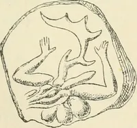 An illustration from Hilprecht anniversary volume. Studies in Assyriology and archaeology dedicated to Hermann V. Hilprecht upon the twenty-fifth anniversary of his doctorate and his fiftieth birthday (July 28) (1909)