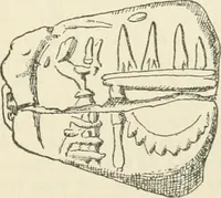 An illustration from Hilprecht anniversary volume. Studies in Assyriology and archaeology dedicated to Hermann V. Hilprecht upon the twenty-fifth anniversary of his doctorate and his fiftieth birthday (July 28) (1909)