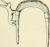An illustration from Hilprecht anniversary volume. Studies in Assyriology and archaeology dedicated to Hermann V. Hilprecht upon the twenty-fifth anniversary of his doctorate and his fiftieth birthday (July 28) (1909)