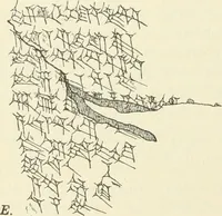An illustration from Hilprecht anniversary volume. Studies in Assyriology and archaeology dedicated to Hermann V. Hilprecht upon the twenty-fifth anniversary of his doctorate and his fiftieth birthday (July 28) (1909)