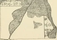 An illustration from Hilprecht anniversary volume. Studies in Assyriology and archaeology dedicated to Hermann V. Hilprecht upon the twenty-fifth anniversary of his doctorate and his fiftieth birthday (July 28) (1909)