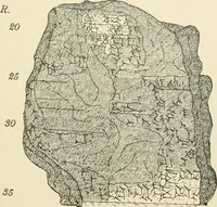 An illustration from Hilprecht anniversary volume. Studies in Assyriology and archaeology dedicated to Hermann V. Hilprecht upon the twenty-fifth anniversary of his doctorate and his fiftieth birthday (July 28) (1909)
