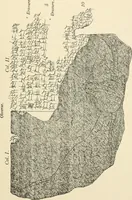 An illustration from Hilprecht anniversary volume. Studies in Assyriology and archaeology dedicated to Hermann V. Hilprecht upon the twenty-fifth anniversary of his doctorate and his fiftieth birthday (July 28) (1909)