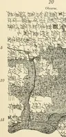 An illustration from Hilprecht anniversary volume. Studies in Assyriology and archaeology dedicated to Hermann V. Hilprecht upon the twenty-fifth anniversary of his doctorate and his fiftieth birthday (July 28) (1909)