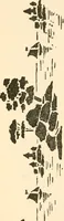 An illustration from Hints for painters, decoratores and paper hangers .. (1911)