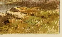 Picture 8 of 16 from Hints on sketching from nature (1874), leaf 79