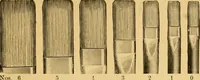 An illustration from Hints on tints and how to mix them : illustrated by one hundred and seventy-five specimens of tints, with an introductory essay on color and colors by Henry Leidel. (1893)