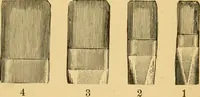 An illustration from Hints on tints and how to mix them : illustrated by one hundred and seventy-five specimens of tints, with an introductory essay on color and colors by Henry Leidel. (1893)