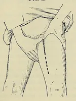 An illustration from Hints to travellers, scientific and general (1901)