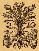 An illustration from Hippocratis Coi medicorum omnium sine controversia principis Aphorismorum sectiones septe[m] : recens è Graeco in Latinum sermone[m] co[n]uersae, & luculentissimis, ijsdemq[ue] breuiss. co[m]mentarijs illustratae & expositae : adiectis annotationibus, in quibus quotquot sunt in Galeni Commentarijs loci difficiles, ad unguem explicantur (1545)