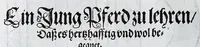 An illustration from Hippopronia : grundtlicher vnnd eigentlicher Bericht inn zwey Bücher verfasset : erstlichen, von Art vnd Eygenschafft der Pferde, wie die auff allerhand vnd vilfaltige Manieren vnd Weisen zu zeumen vnnd abzurichten : mit darzu gehöriger Mundstucken vnd Stangen, vff vnd Abrisse vnd andern künstlichen Figurẽ vorgebildt : so dann fürs ander von derselben Zufäll vnnd Kranckheiten, auch bewehrter Mittel, Curation vnd heilsamen Artzneyen gegründte Beschreibung : alles durch langwirige Erfahrung ... zusam̃en gebracht, vnd ... vor Jaren in Truck verfertigt (1599)