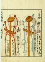 Picture 1 of 10 from Hippu zukai : buk no maki (1710), leaf 9