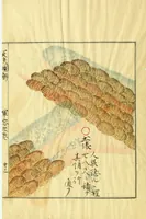 An illustration from Hippu zukai : gunyō no maki ; Senkō no maki. (1716)