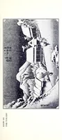 An illustration from Hiroshige, the artist of mist, snow and rain: an essay (1901)
