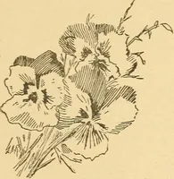 An illustration from His glorious appearing: an exposition of Matthew twenty-four (1904)