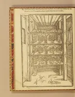 An illustration from His Maiesties gracious letter to the Earle of South-Hampton, treasurer, and to the Councell and Company of Virginia heere: commanding the present setting up of silke works, and planting of vines in Virginia. : And the letter of the treasurer, councell, and company, to the gouernour and councell of state there, for the strict execution of His Maiesties royall commands herein. Also a treatise of the art of making silke: or, Directions for the making of lodgings, and the breeding, nourishing, and ordering of silkewormes, and for the planting of mulbery trees, and all other things belonging to the silke art. Together with instructions how to plant and dresse vines, and to make wine, and how to dry raisins, figs, and other fruits, and to set oliues, oranges, lemons, pomegranates, almonds, and many other fruits, &c. And in the end, a conclusion, with sundry profitable remonstrances to the colonies. Set foorth for the benefit of the two renowned and most hopefull sisters, Virginia, and the Summer-Ilands. (1622)