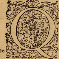 Picture 8 of 80 from Hispaniae illvstratæ; sev. Rervm. vrbivmq. Hispaniæ, Lvsitaniæ, Æthiopiæ et Indiæ scriptores varii. (1603), leaf 14