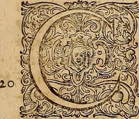 Picture 24 of 80 from Hispaniae illvstratæ; sev. Rervm. vrbivmq. Hispaniæ, Lvsitaniæ, Æthiopiæ et Indiæ scriptores varii. (1603), leaf 204