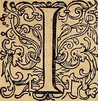 Picture 26 of 80 from Hispaniae illvstratæ; sev. Rervm. vrbivmq. Hispaniæ, Lvsitaniæ, Æthiopiæ et Indiæ scriptores varii. (1603), leaf 261