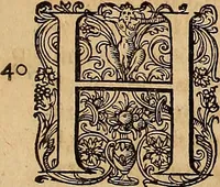 Picture 29 of 80 from Hispaniae illvstratæ; sev. Rervm. vrbivmq. Hispaniæ, Lvsitaniæ, Æthiopiæ et Indiæ scriptores varii. (1603), leaf 306