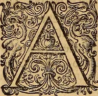 Picture 44 of 80 from Hispaniae illvstratæ; sev. Rervm. vrbivmq. Hispaniæ, Lvsitaniæ, Æthiopiæ et Indiæ scriptores varii. (1603), leaf 515