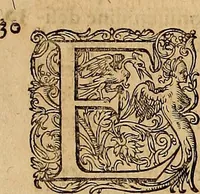Picture 56 of 80 from Hispaniae illvstratæ; sev. Rervm. vrbivmq. Hispaniæ, Lvsitaniæ, Æthiopiæ et Indiæ scriptores varii. (1603), leaf 808