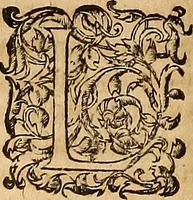 Picture 60 of 80 from Hispaniae illvstratæ; sev. Rervm. vrbivmq. Hispaniæ, Lvsitaniæ, Æthiopiæ et Indiæ scriptores varii. (1603), leaf 851