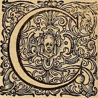 Picture 62 of 80 from Hispaniae illvstratæ; sev. Rervm. vrbivmq. Hispaniæ, Lvsitaniæ, Æthiopiæ et Indiæ scriptores varii. (1603), leaf 871