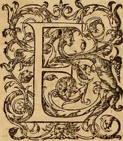 Picture 70 of 80 from Hispaniae illvstratæ; sev. Rervm. vrbivmq. Hispaniæ, Lvsitaniæ, Æthiopiæ et Indiæ scriptores varii. (1603), leaf 941