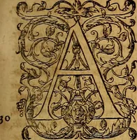 An illustration from Hispaniae illvstratæ; sev. Rervm. vrbivmq. Hispaniæ, Lvsitaniæ, Æthiopiæ et Indiæ scriptores varii. (1603)