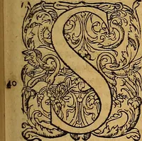 An illustration from Hispaniae illvstratæ; sev. Rervm. vrbivmq. Hispaniæ, Lvsitaniæ, Æthiopiæ et Indiæ scriptores varii. (1603)