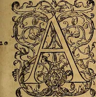 Picture 76 of 104 from Hispaniae illvstratæ; sev. Rervm. vrbivmq. Hispaniæ, Lvsitaniæ, Æthiopiæ et Indiæ scriptores varii. (1603), leaf 1118