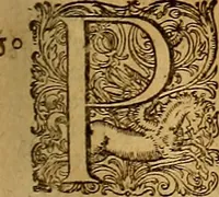 An illustration from Hispaniae illvstratæ; sev. Rervm. vrbivmq. Hispaniæ, Lvsitaniæ, Æthiopiæ et Indiæ scriptores varii. (1603)