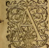 An illustration from Hispaniae illvstratæ; sev. Rervm. vrbivmq. Hispaniæ, Lvsitaniæ, Æthiopiæ et Indiæ scriptores varii. (1603)