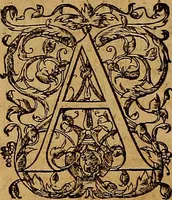 Picture 88 of 104 from Hispaniae illvstratæ; sev. Rervm. vrbivmq. Hispaniæ, Lvsitaniæ, Æthiopiæ et Indiæ scriptores varii. (1603), leaf 1285